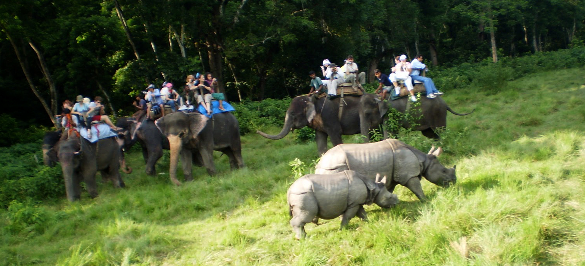 Kathmandu-Pokhara-Chitwan-Jungle-Safari-Tour.