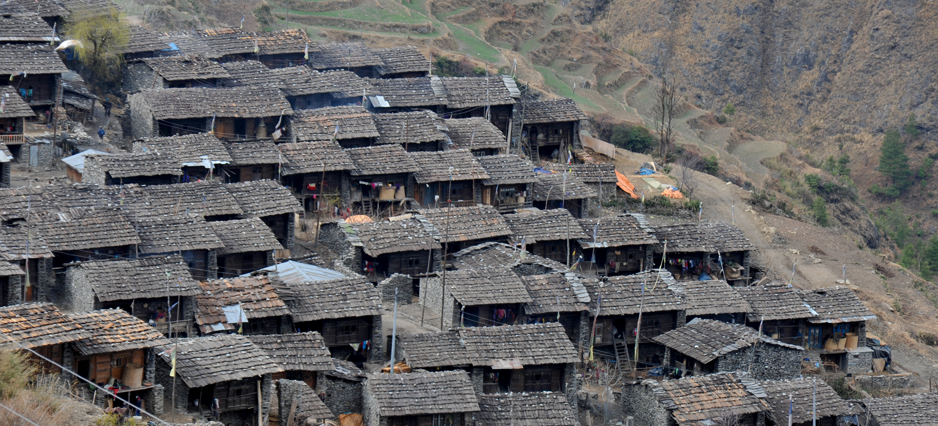 Langtang-Tamang-Heritage-Trekking-Trail