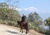 Nepal Pony Trek